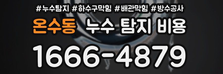 온수동 누수 탐지 비용