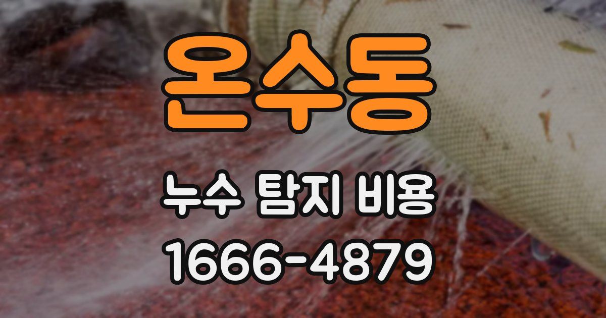 온수동 누수 탐지 비용