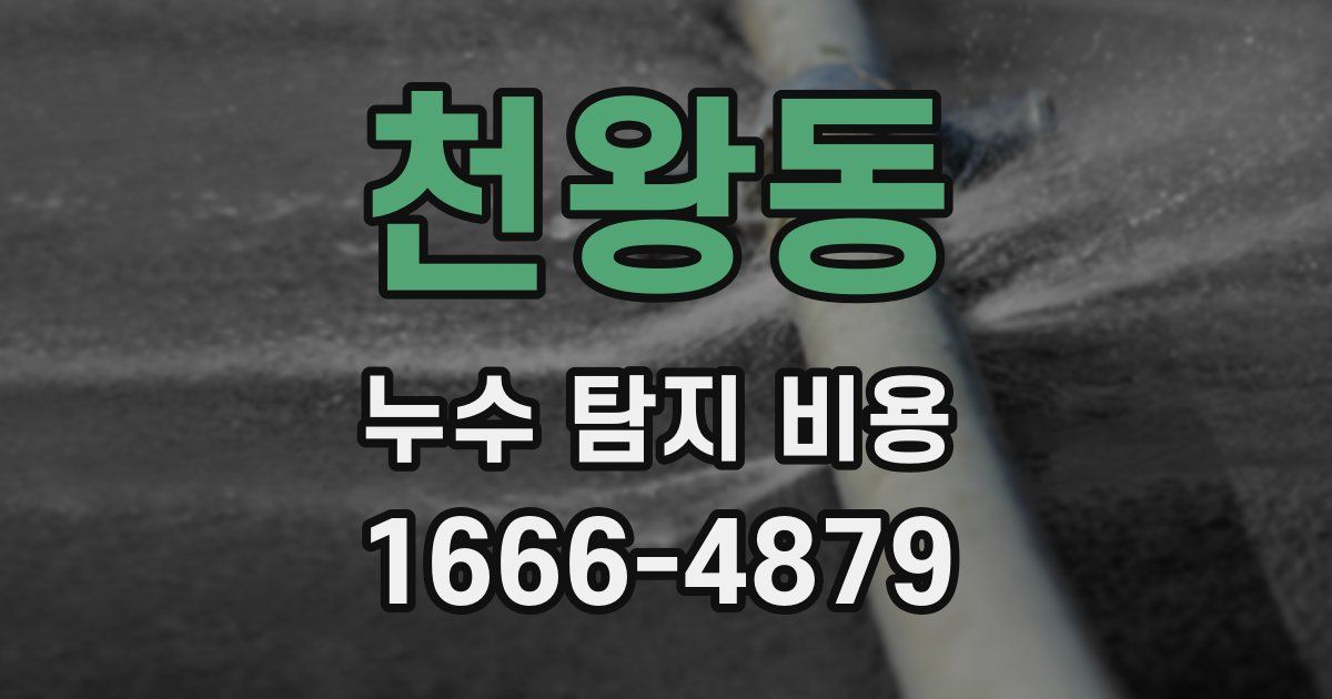 천왕동 누수 탐지 비용