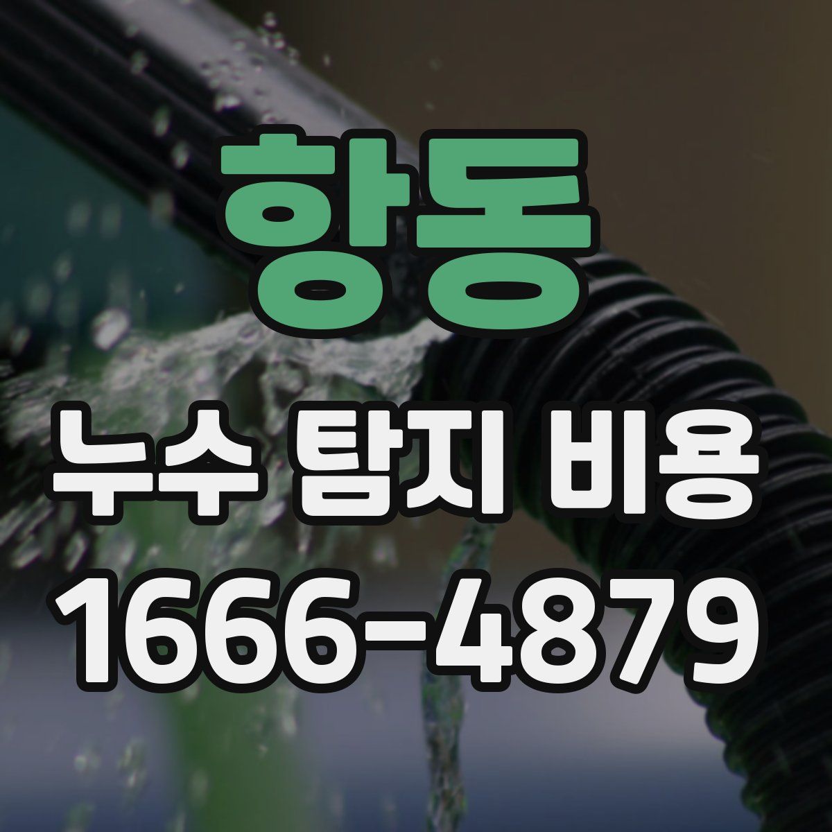 항동 누수 탐지 비용