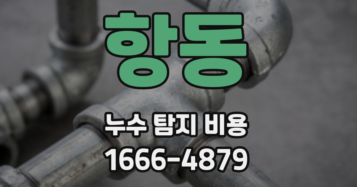 항동 누수 탐지 비용