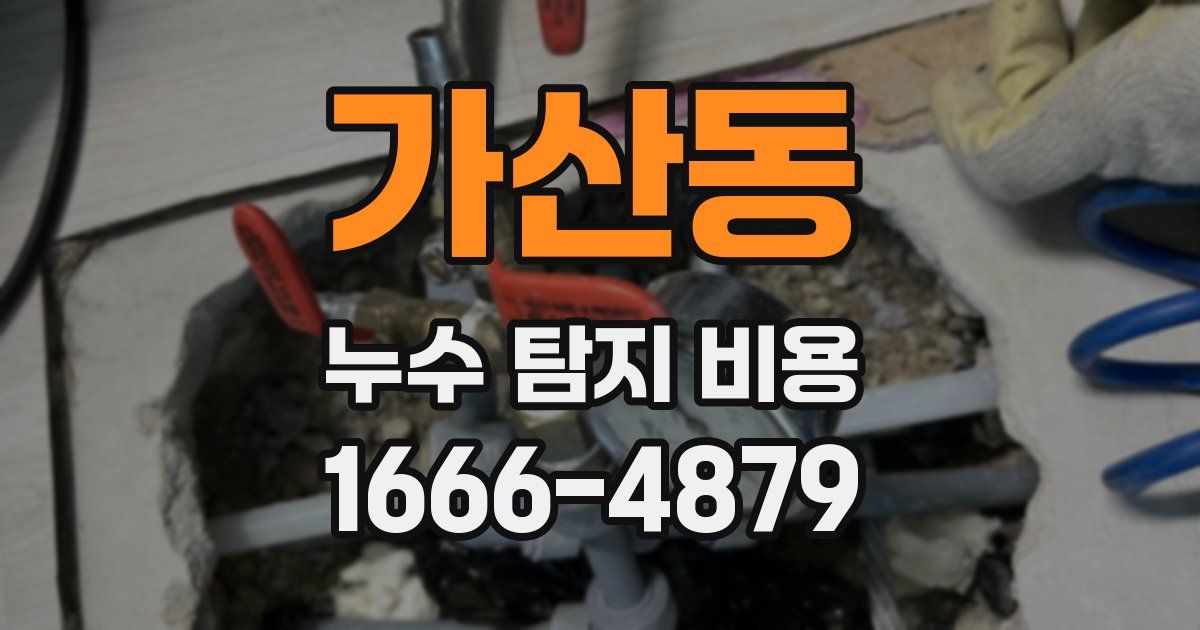 가산동 누수 탐지 비용