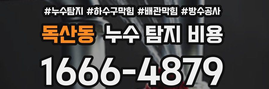 독산동 누수 탐지 비용