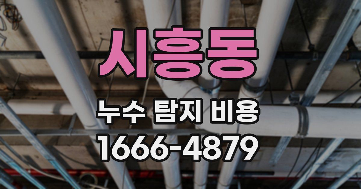 시흥동 누수 탐지 비용