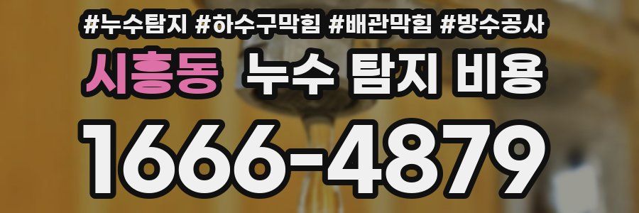 시흥동 누수 탐지 비용