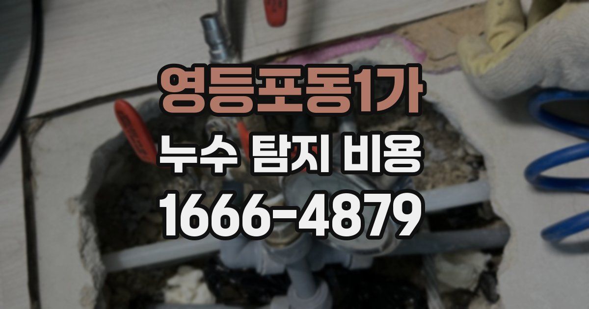 영등포동1가 누수 탐지 비용