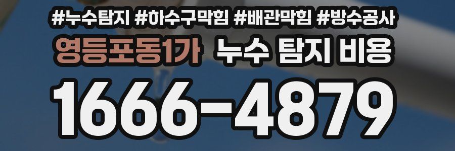 영등포동1가 누수 탐지 비용
