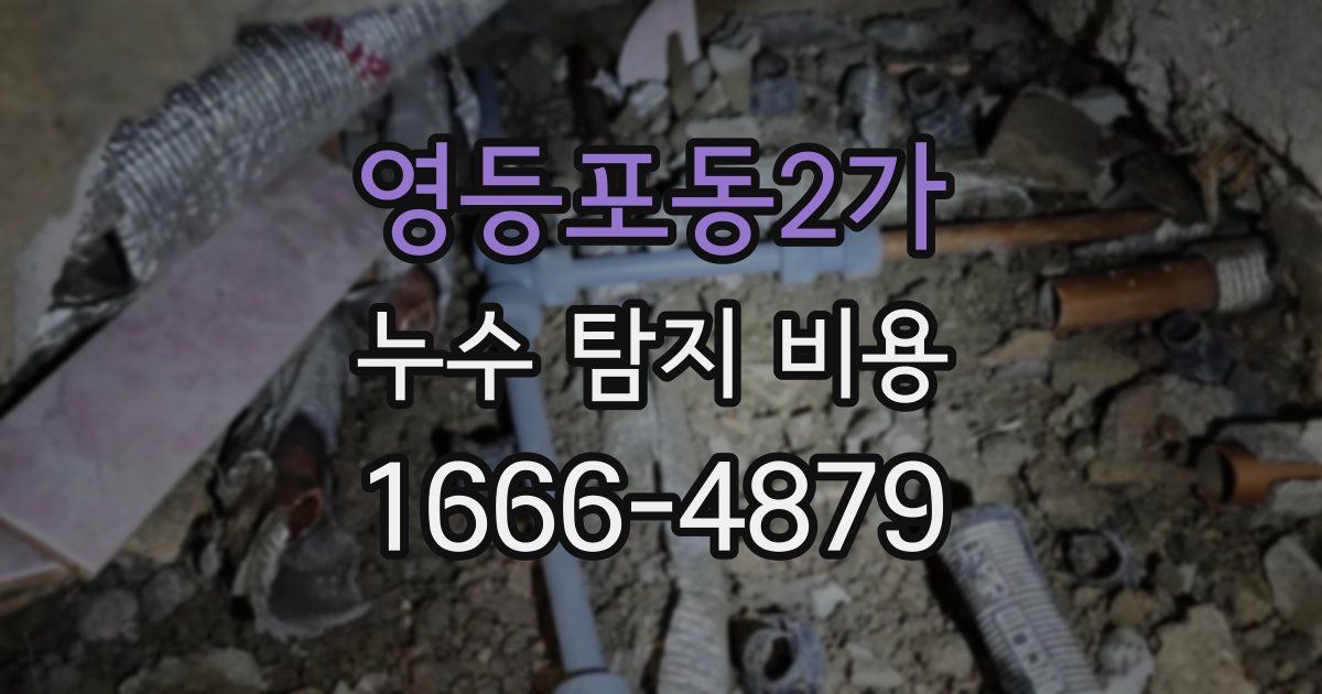 영등포동2가 누수 탐지 비용