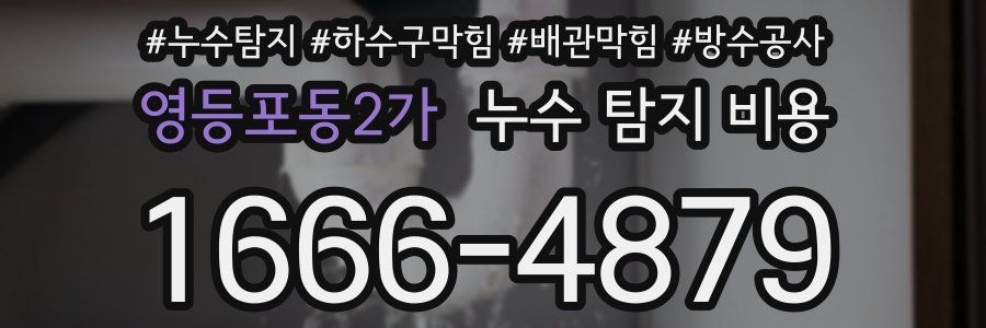 영등포동2가 누수 탐지 비용