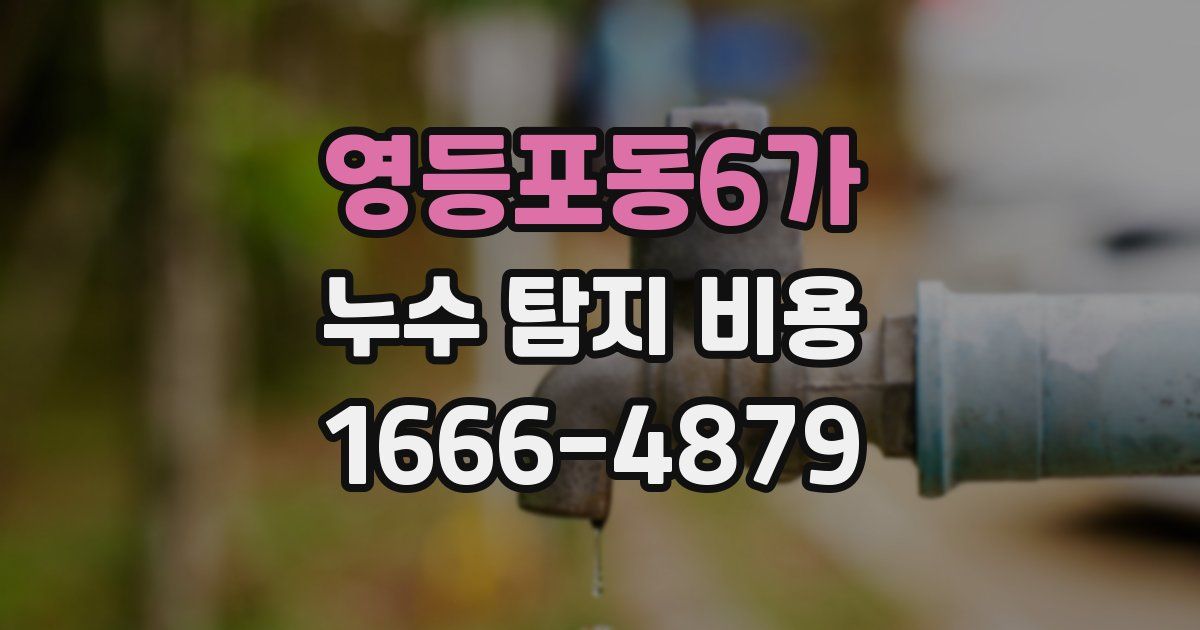 영등포동6가 누수 탐지 비용