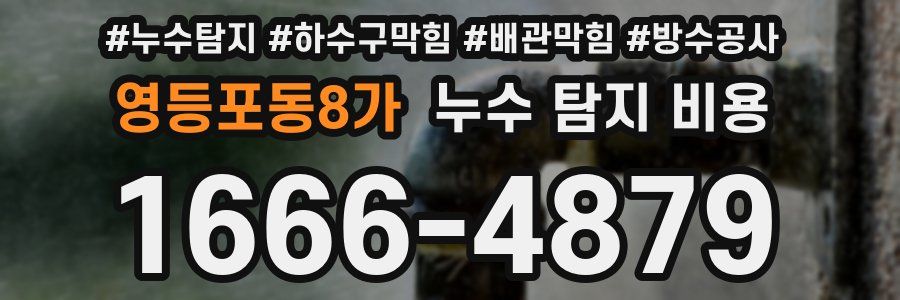 영등포동8가 누수 탐지 비용