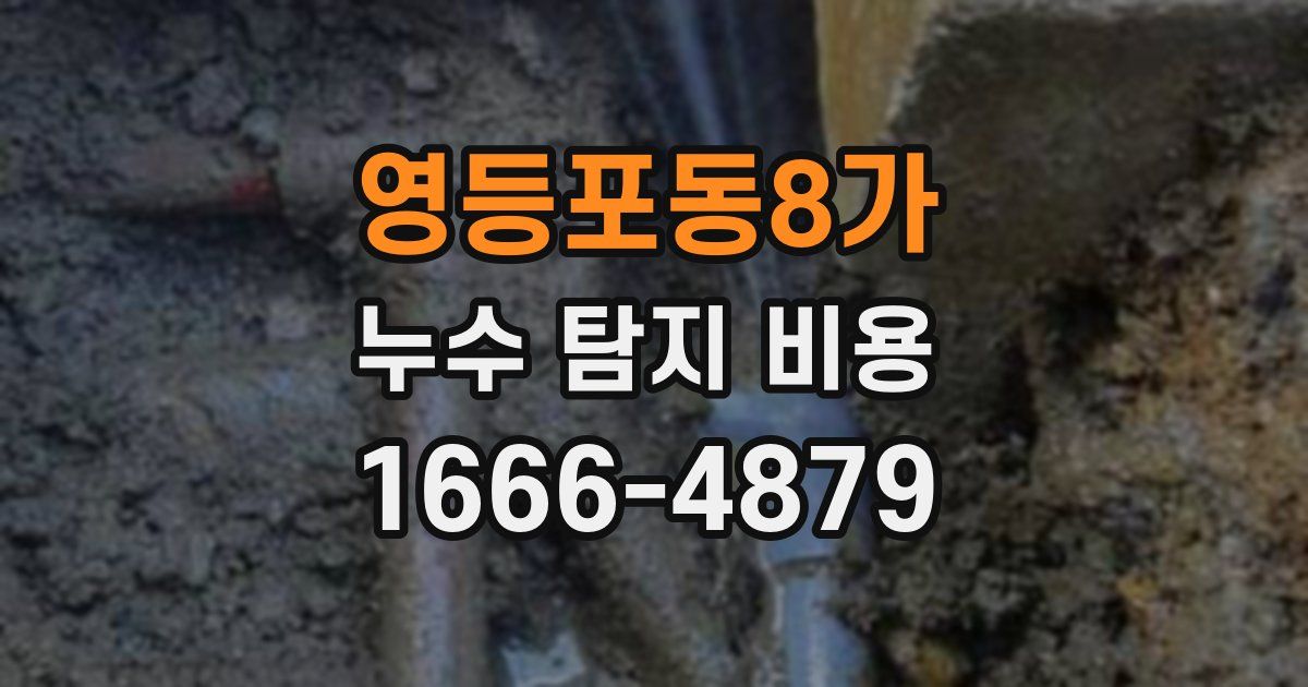 영등포동8가 누수 탐지 비용