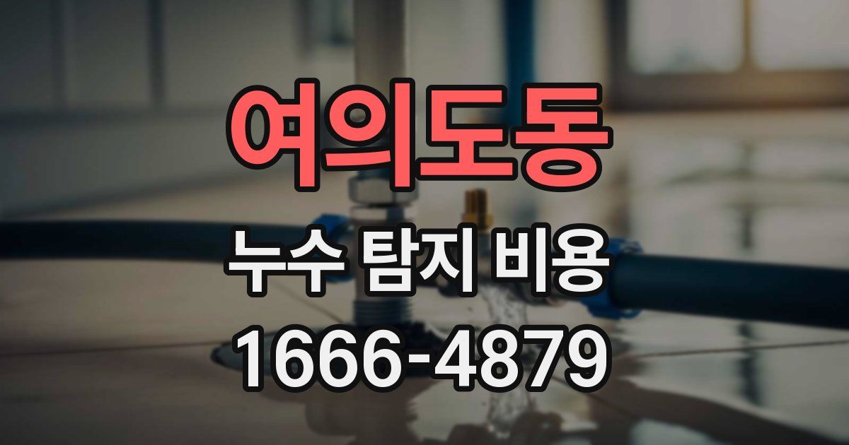 여의도동 누수 탐지 비용