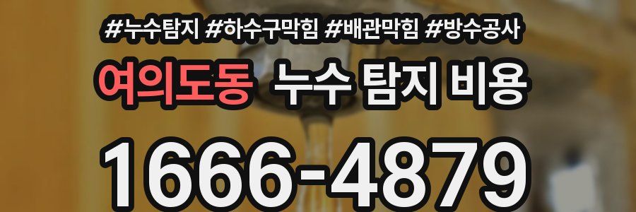 여의도동 누수 탐지 비용