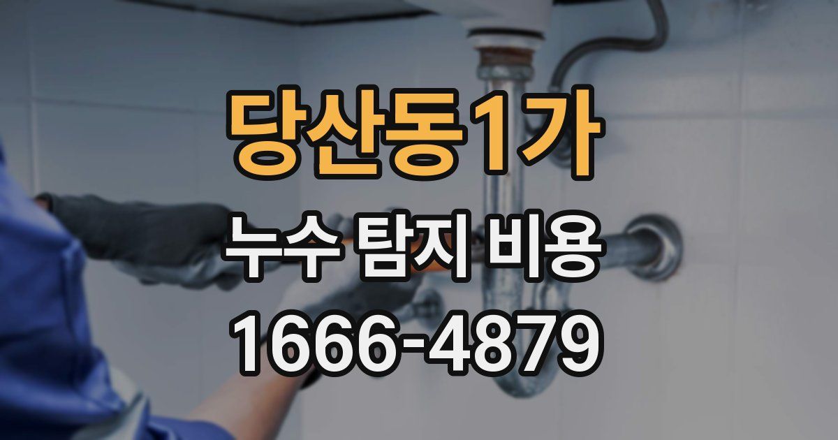 당산동1가 누수 탐지 비용