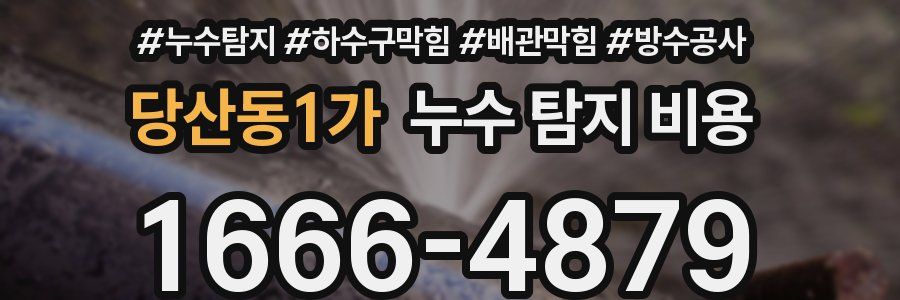 당산동1가 누수 탐지 비용
