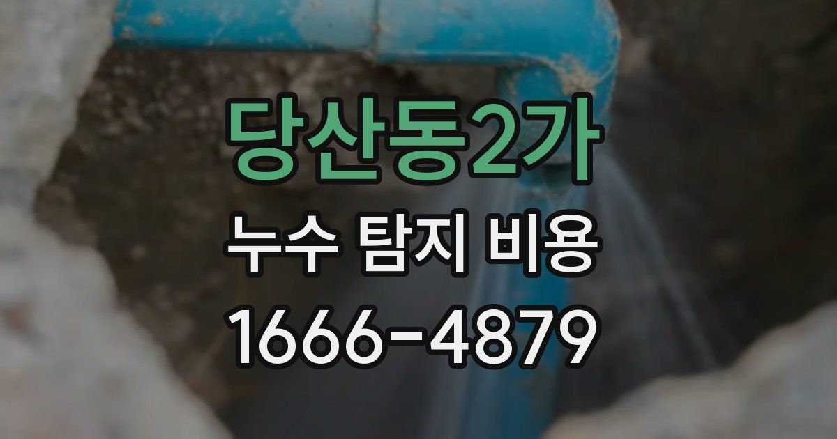 당산동2가 누수 탐지 비용