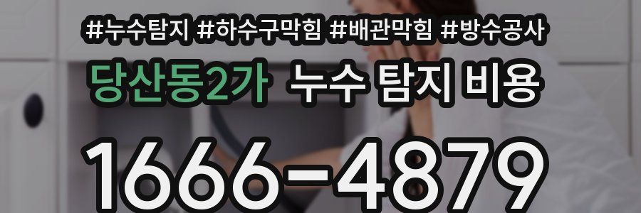 당산동2가 누수 탐지 비용