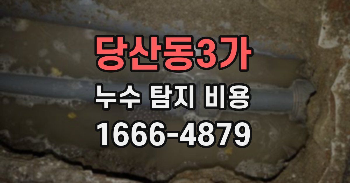 당산동3가 누수 탐지 비용