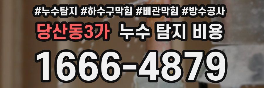 당산동3가 누수 탐지 비용