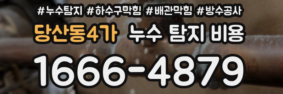 당산동4가 누수 탐지 비용