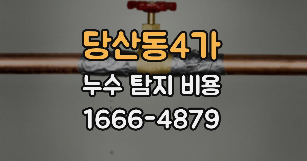 당산동4가 누수 탐지 비용