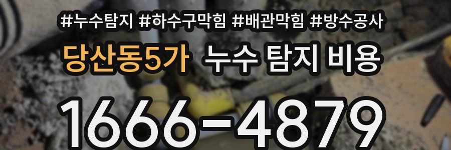 당산동5가 누수 탐지 비용