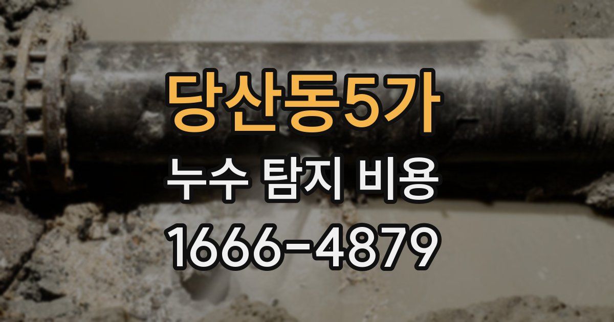 당산동5가 누수 탐지 비용
