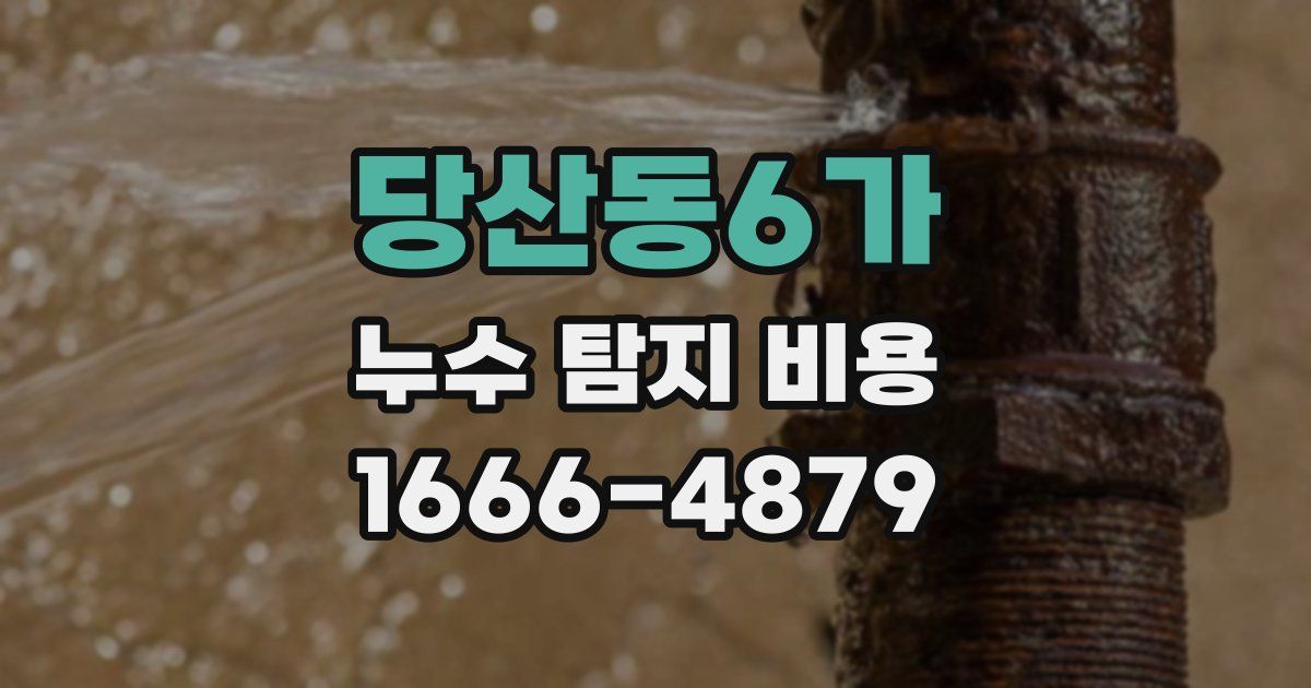 당산동6가 누수 탐지 비용