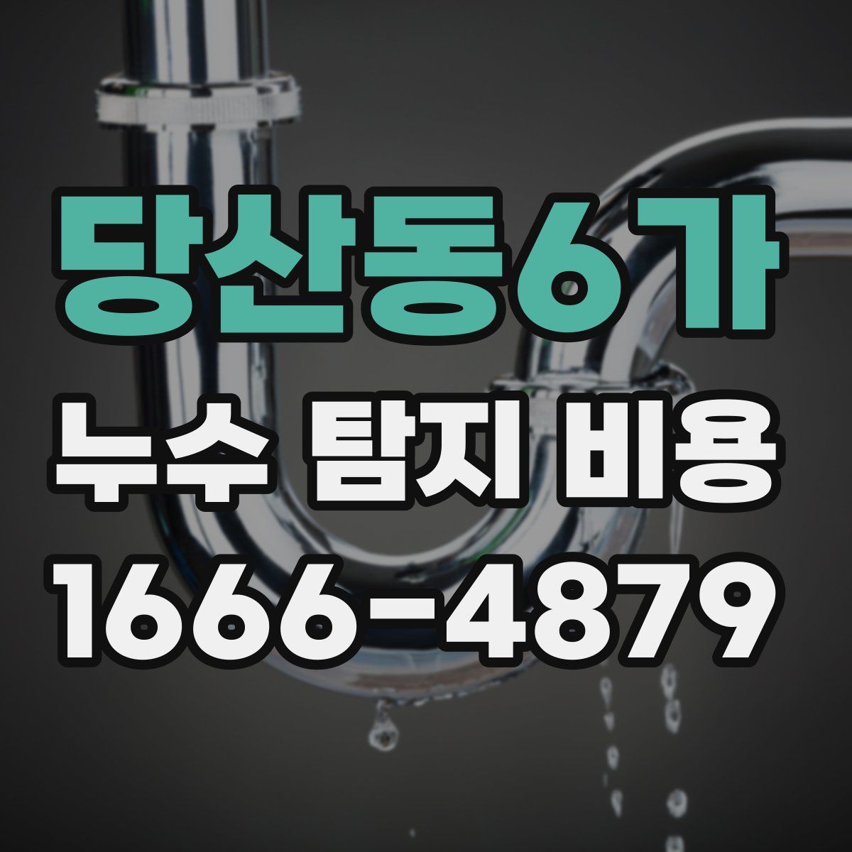 당산동6가 누수 탐지 비용