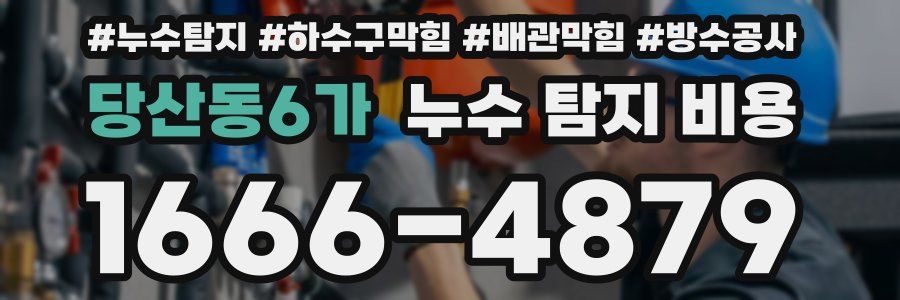 당산동6가 누수 탐지 비용