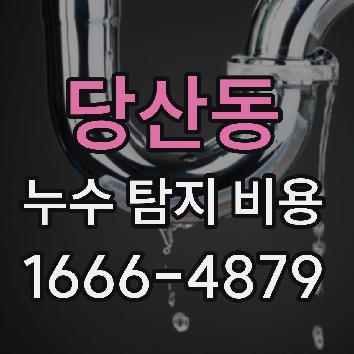 당산동 누수 탐지 비용