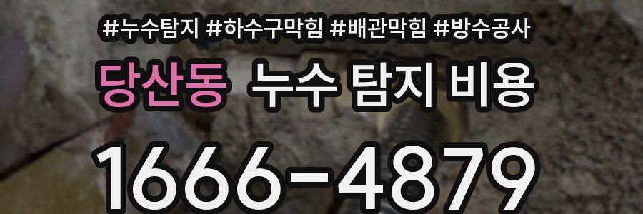 당산동 누수 탐지 비용