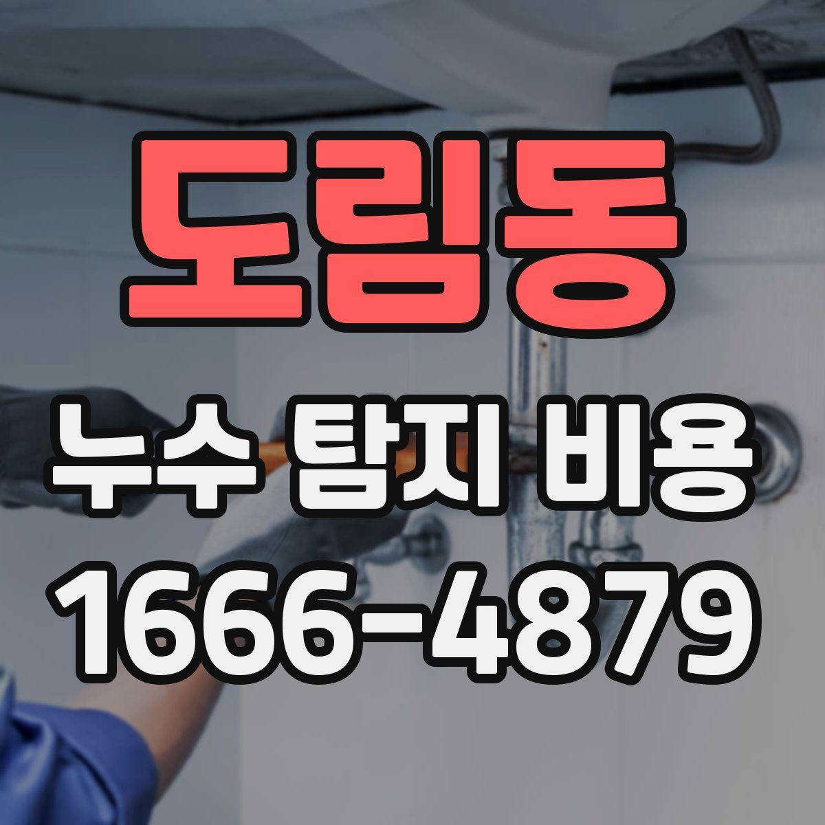 도림동 누수 탐지 비용
