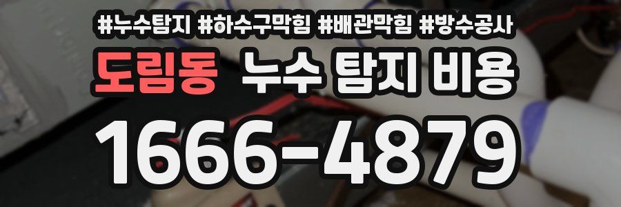 도림동 누수 탐지 비용