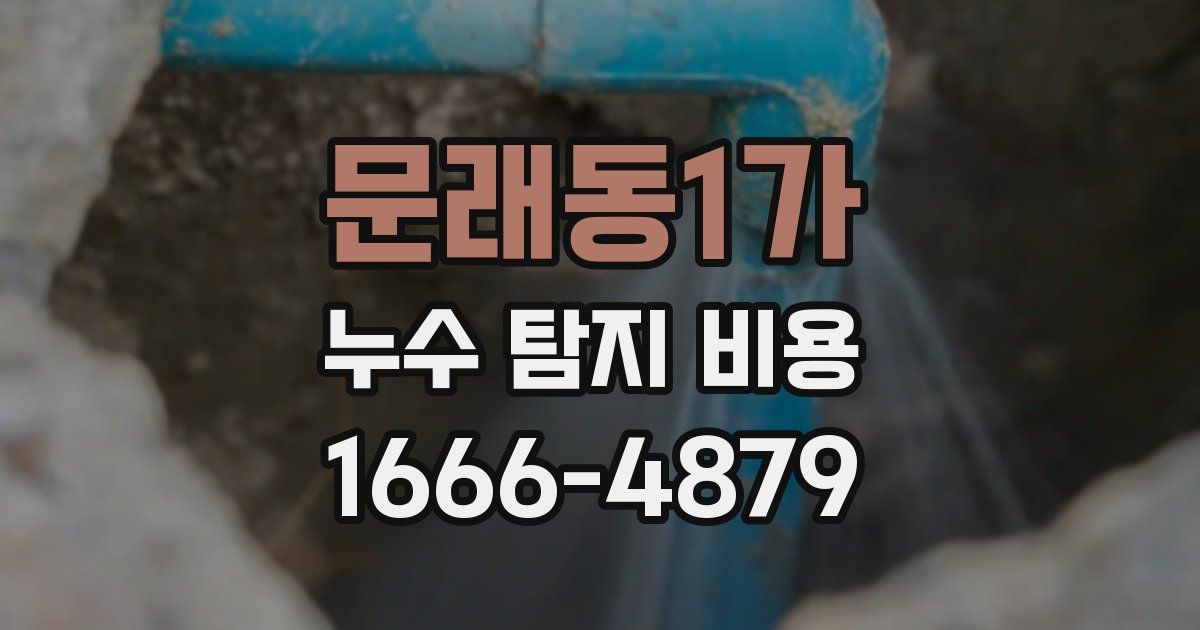 문래동1가 누수 탐지 비용