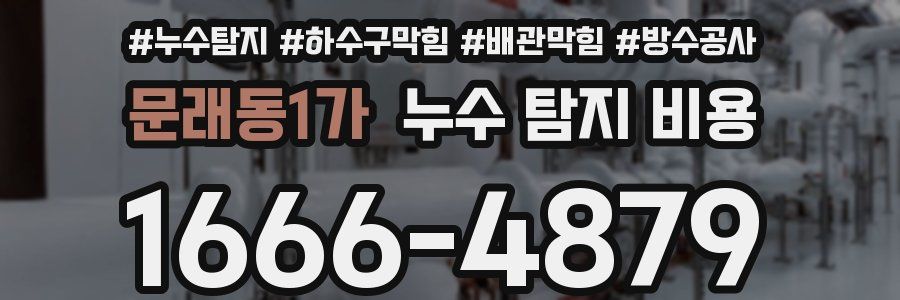 문래동1가 누수 탐지 비용