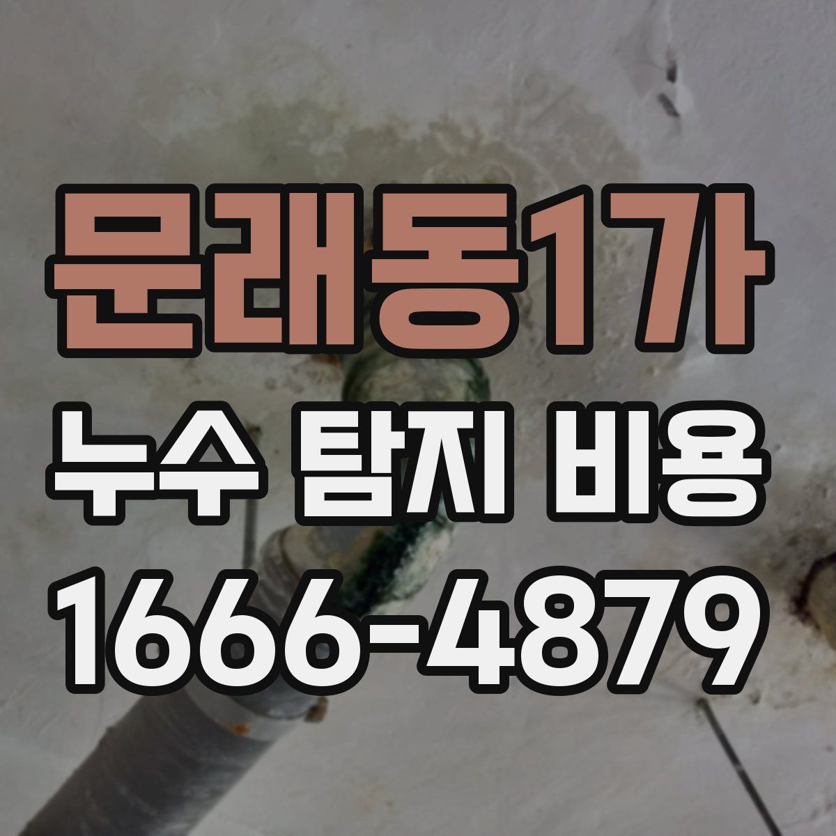 문래동1가 누수 탐지 비용