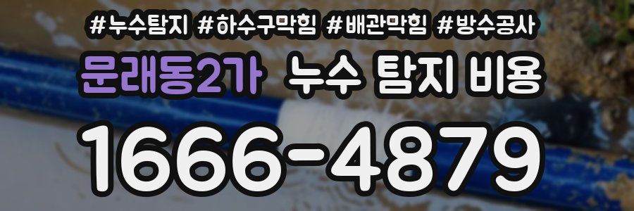 문래동2가 누수 탐지 비용