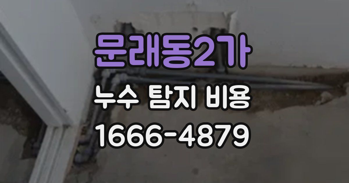 문래동2가 누수 탐지 비용