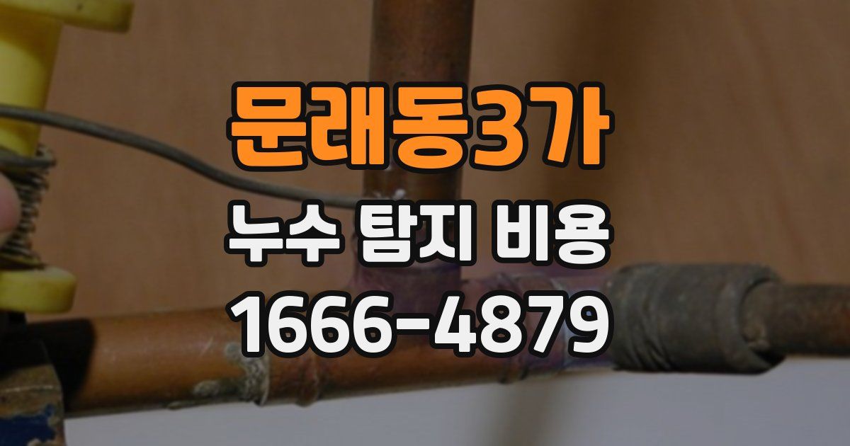 문래동3가 누수 탐지 비용
