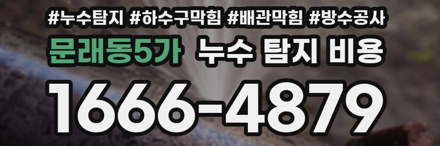 문래동5가 누수 탐지 비용