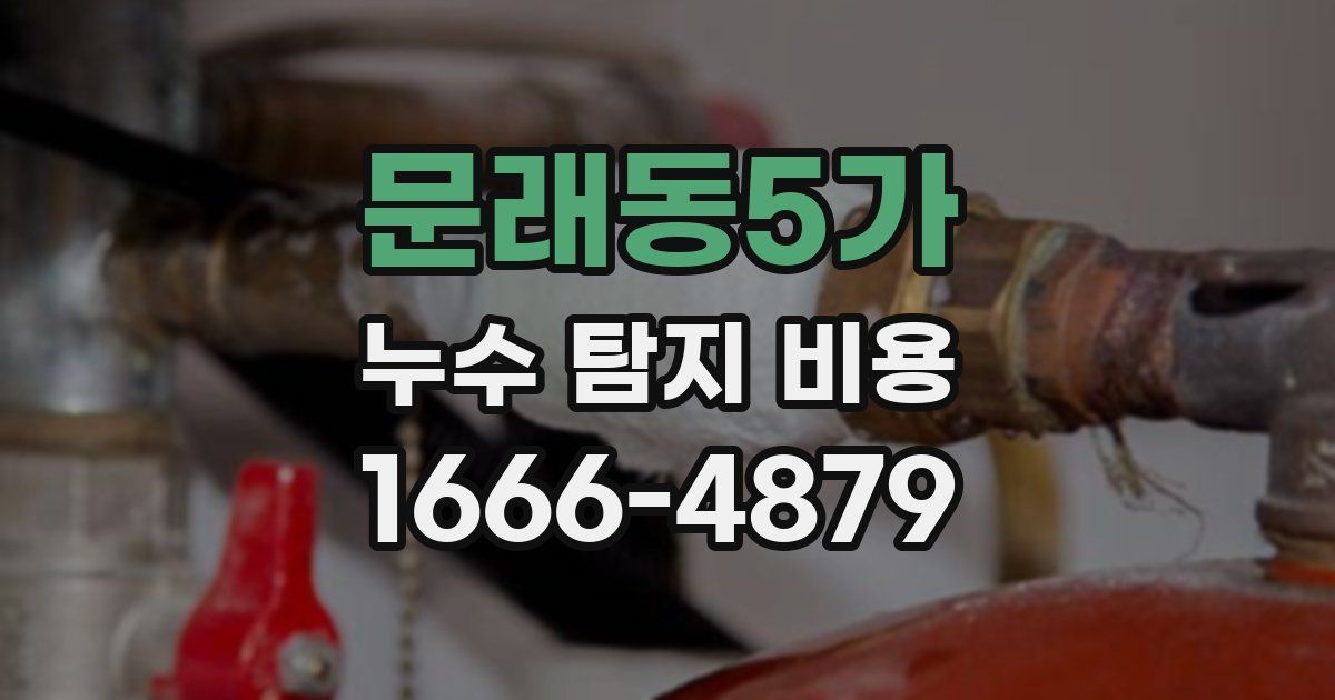 문래동5가 누수 탐지 비용