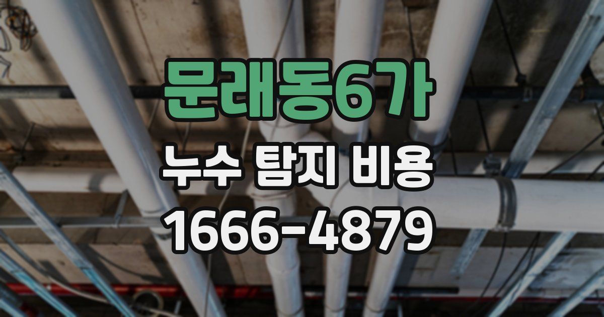 문래동6가 누수 탐지 비용