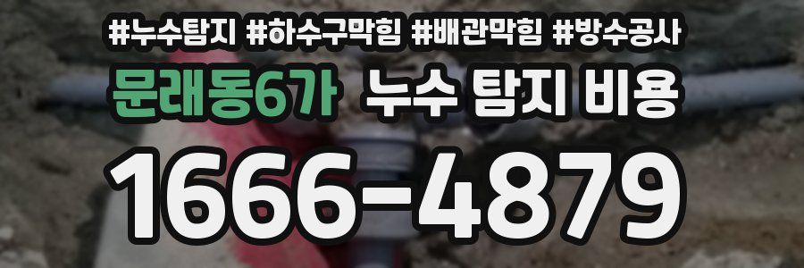 문래동6가 누수 탐지 비용