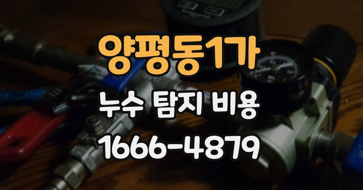 양평동1가 누수 탐지 비용