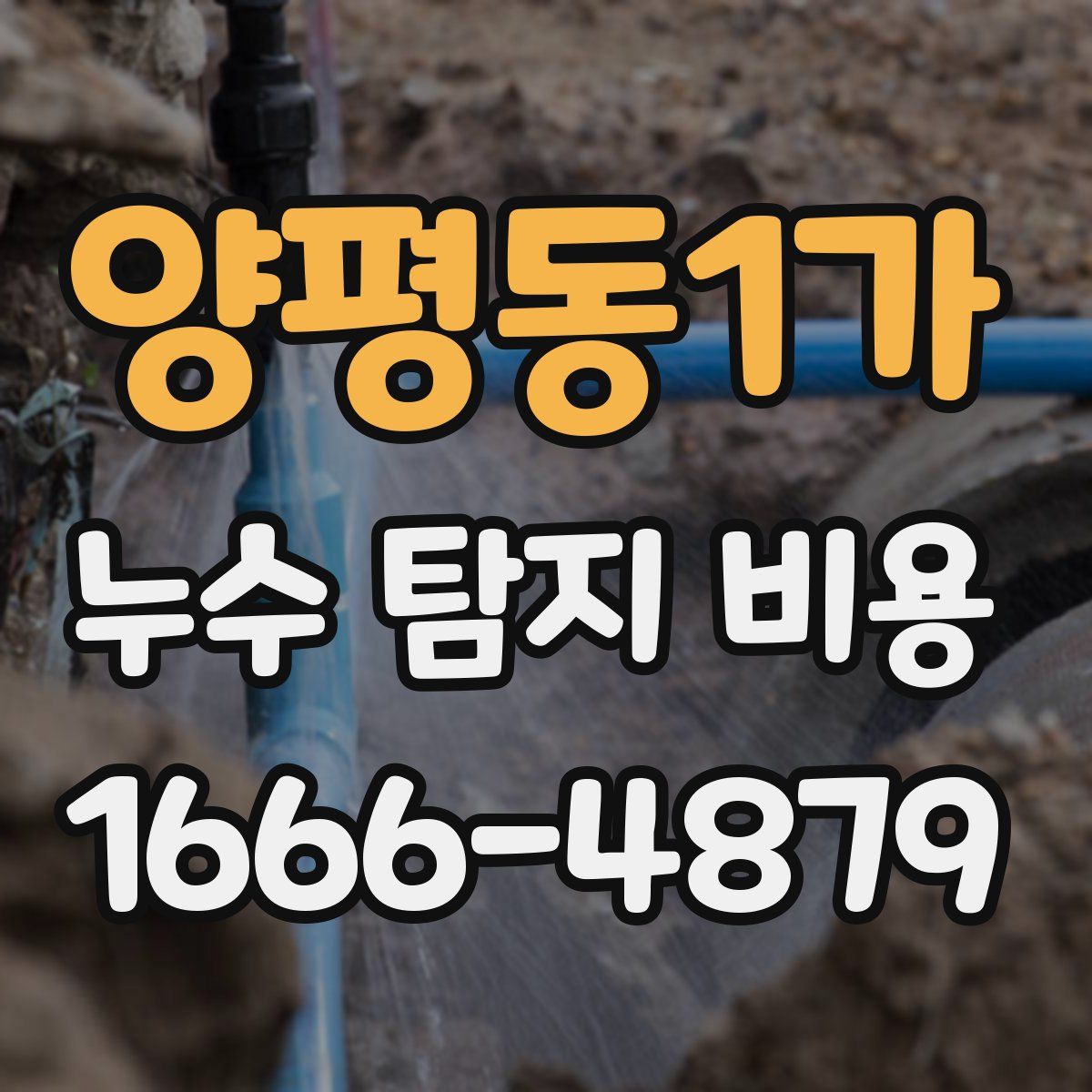 양평동1가 누수 탐지 비용