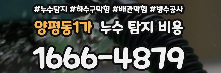 양평동1가 누수 탐지 비용