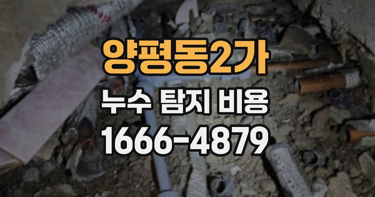 양평동2가 누수 탐지 비용