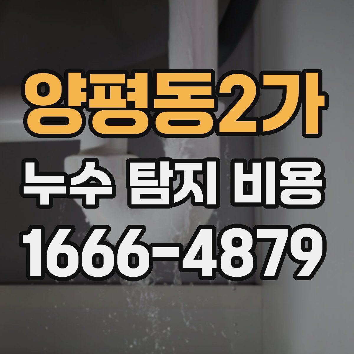 양평동2가 누수 탐지 비용